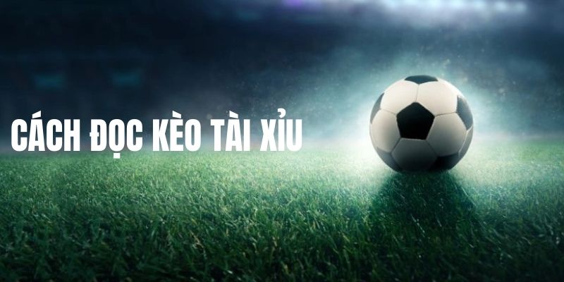 Cách Đọc Kèo Tài Xỉu Từ Cơ Bản Đến Nâng Cao Cực Hay