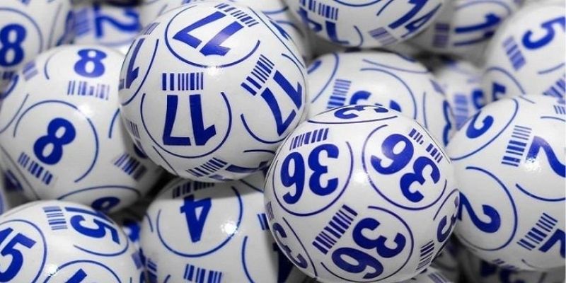 Lô Gan Rồng Bạch Kim Giúp Bạn Bắt Cầu Bạch Thủ Cực Chuẩn