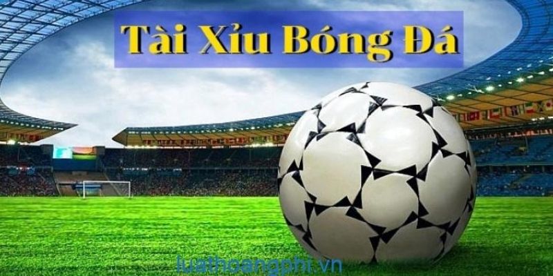 Bạn đã hiểu kèo Tài Xỉu là gì khi tham gia cược chưa?