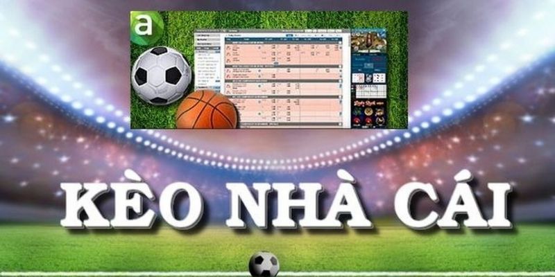 Dữ liệu kèo nhà cái hôm nay giúp phân tích chuẩn xác