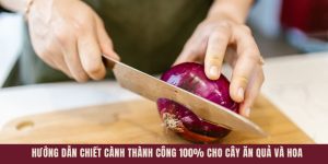 15 Mẹo Thái Hành Không Cay Mắt Hiệu Quả Cho Các Bà Nội Trợ
