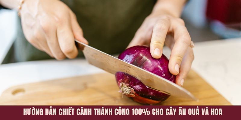 15 Mẹo Thái Hành Không Cay Mắt Hiệu Quả Cho Các Bà Nội Trợ