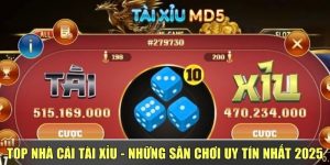 Top Nhà Cái Tài Xỉu - Những Sân Chơi Uy Tín Nhất 2025