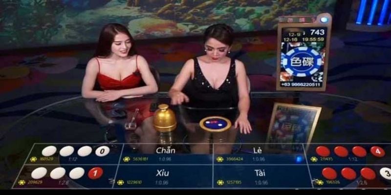 Xóc Đĩa cuốn hút bởi cách chơi nhanh và cực kỳ kịch tính